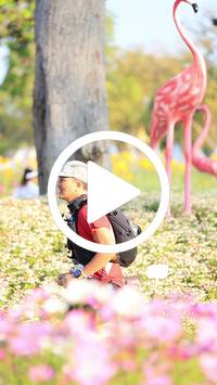 BIB:  <button type="button" onclick="openModal(27583339)" class="btn btn-primary btn-sm float-right" data-toggle="modal" data-target=".modal-high-quality">
                <i class="fa fa-download"></i> Download
                </button>